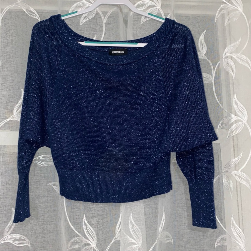 Express Navy Off-the-Shoulder Crop Knit Sweater